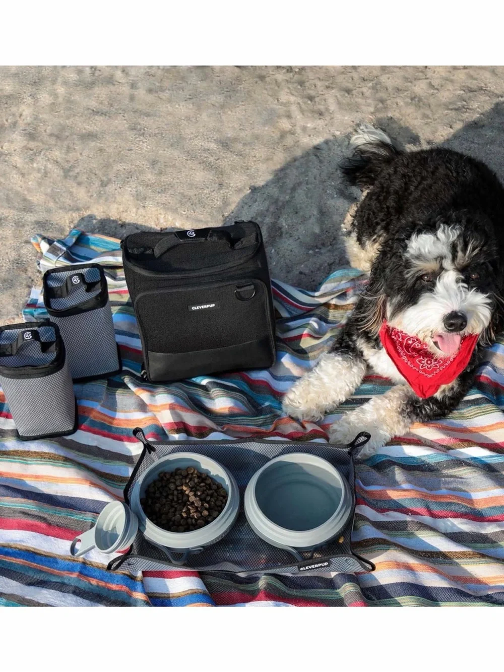 NWT Large Bistro Box Dog Food Travel Kit